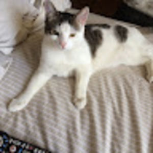 Meet your Posher, Kiara